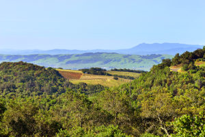 1750 Moon Mountain Road, Sonoma