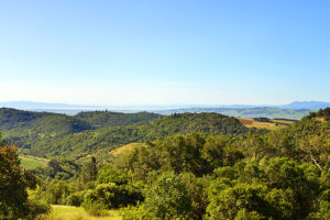 1750 Moon Mountain Road, Sonoma